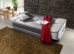 Schlafsofa mit Bettkasten ANTHRAZIT-SILBER