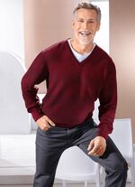 V-Pullover mit Strukturdessin in 3 Farben 