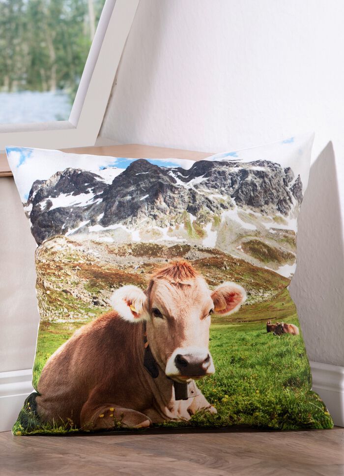 Kissenbezug in Samtoptik 