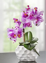 Orchideen-Gesteck in Keramikvase ROSA