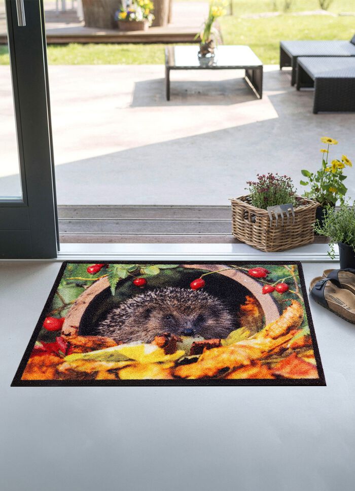 Fussmatte mit Igel-Motiv BUNT