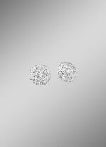 Exquisite Ohrstecker 