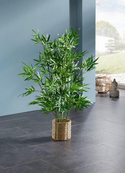 Bambus im  Wasserhyazinthen-Korb 