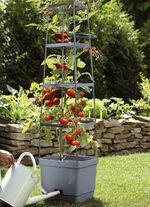 MAXITOM Tomaten-Rankhilfe Komplett-Set ANTHRAZIT