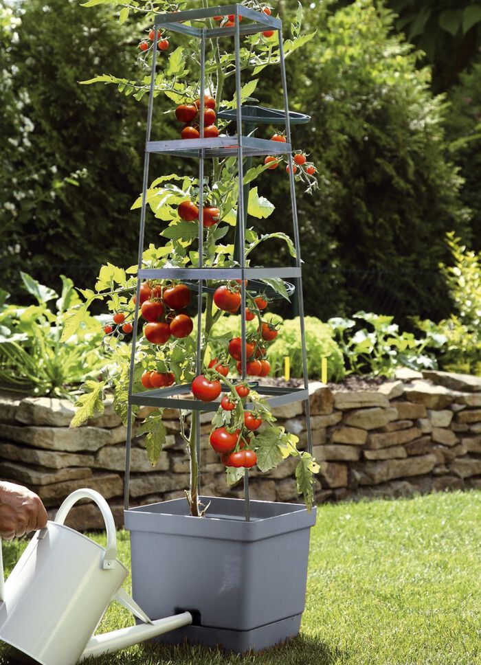 MAXITOM Tomaten-Rankhilfe Komplett-Set ANTHRAZIT