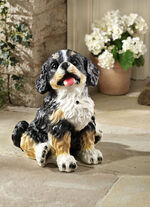 Bewegungsmelder Berner Sennenhund 