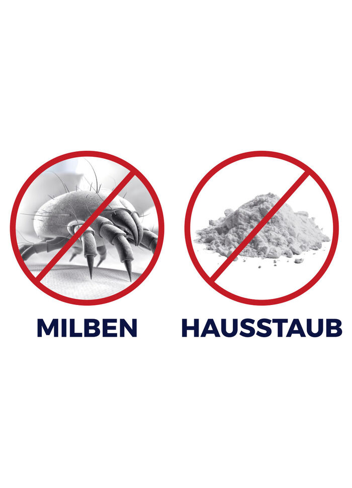 Akku-Milbensauger  