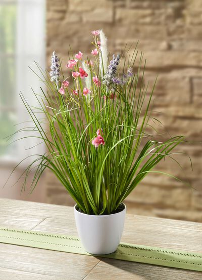 Grasbusch mit Bl&uuml;ten 