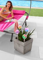 Regenbogenleuchten, 4er-Set 