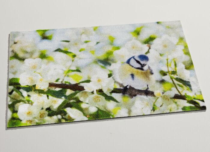 Fussmatte mit rutschhemmendem Vinylr&uuml;cken 