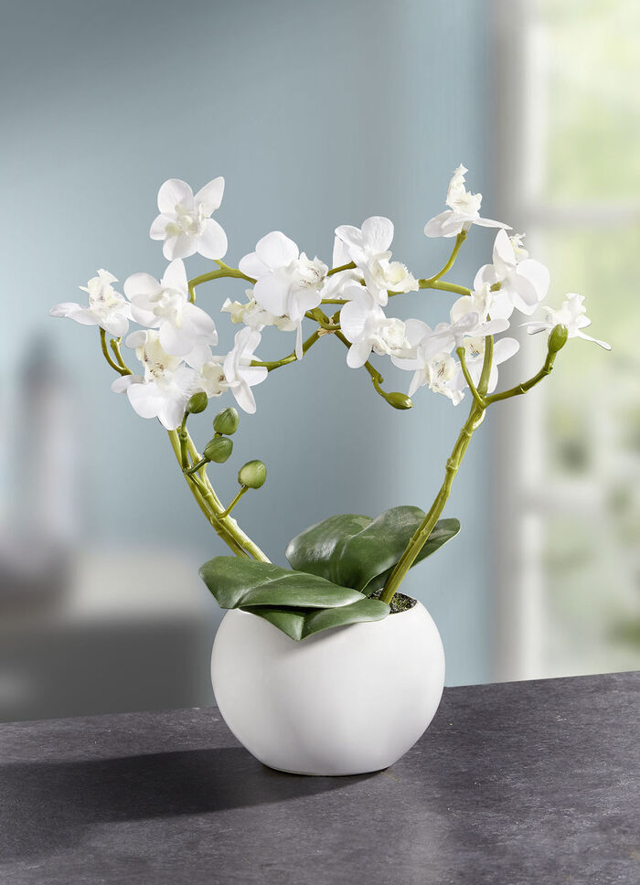 Orchideen-Gesteck im Keramiktopf  