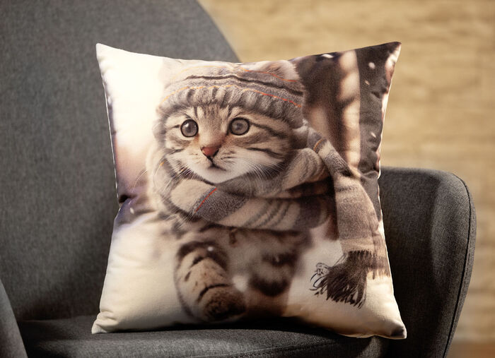 Kissenbezug in Samtoptik 