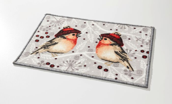 Fussmatte mit rutschhemmender R&uuml;ckseite BUNT