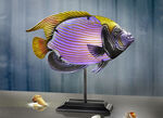 Beleuchteter Fisch LILA-GOLD