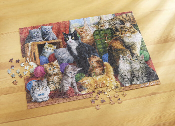 Puzzle mit Katzen-Motiv, 1.000-teilig 