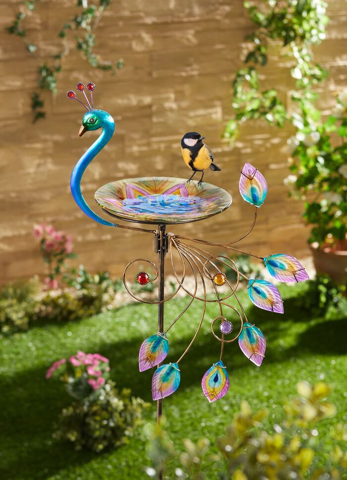 Vogeltr&auml;nke in Pfauen-Form 