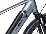 E-Trekking-Bike X-Road 5.2 von SAXONETTE 