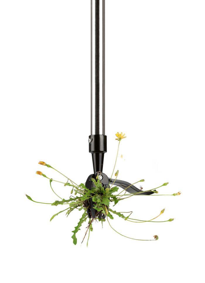 EASYmaxx Unkrautstecher 