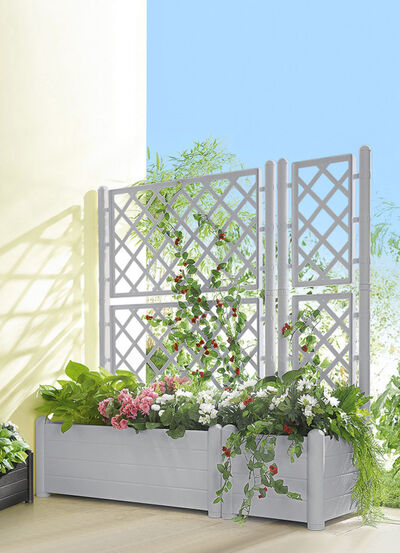 Pflanzkasten mit Spalierwand  Pflanzkasten mit Spalierwand