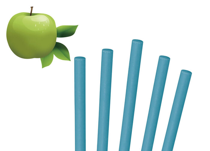 Abflussreiniger-Sticks – halten Ihre Abflüsse frei von Ablagerungen und üblen Gerüchen GRÜN