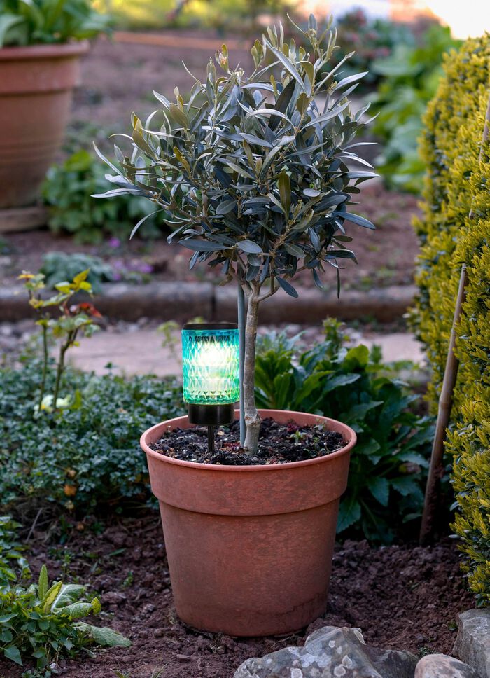 Solar-Dekoleuchten "Mila", 2er-Set 