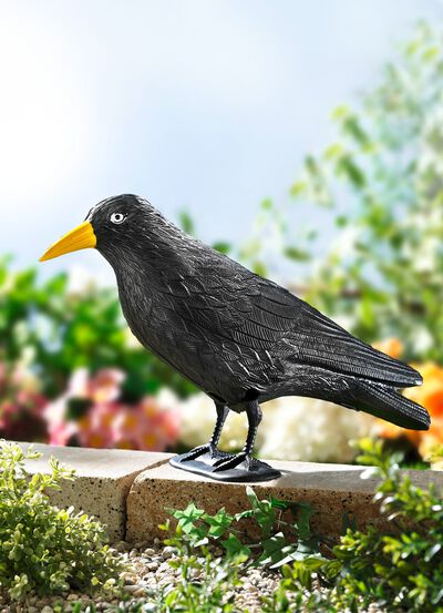 Vogelschreck-Rabe aus Kunststoff 