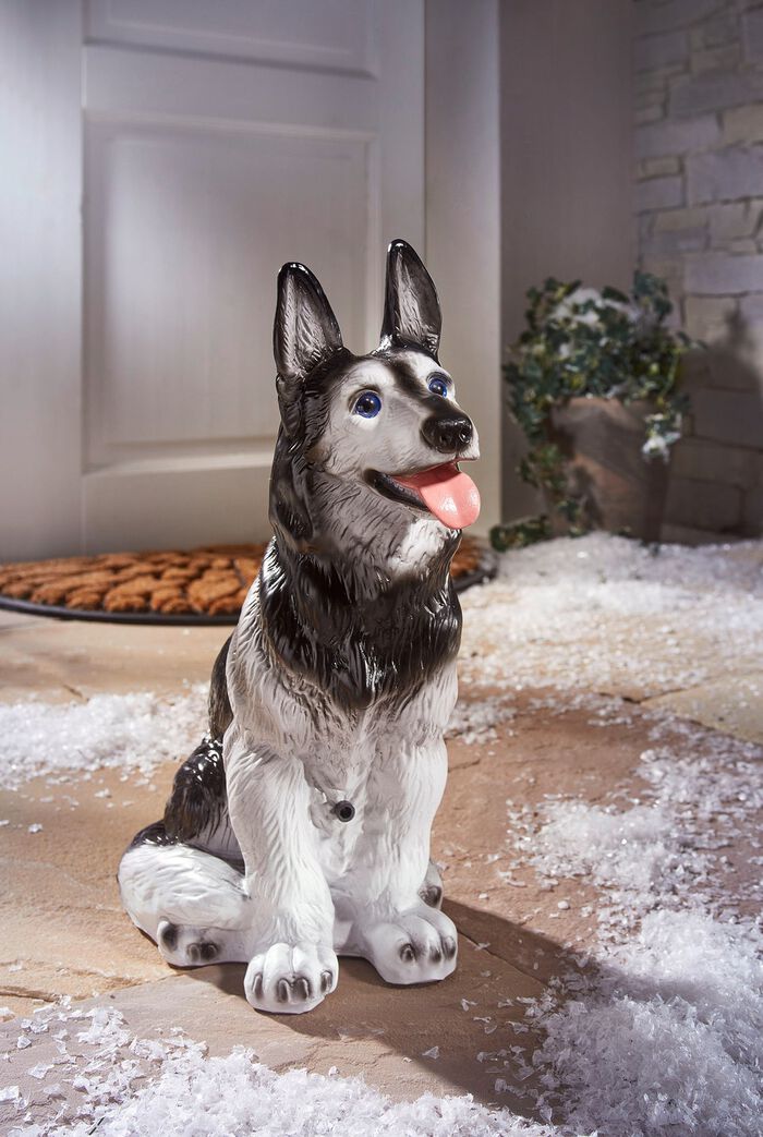 Bewegungsmelder Husky 