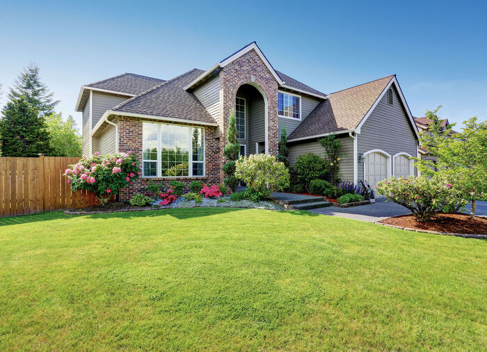 Starlyf Grassamen-Matte 