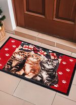 Fussmatte mit beschichteter R&uuml;ckseite 