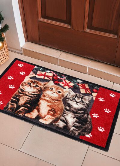 Fussmatte mit beschichteter R&uuml;ckseite 