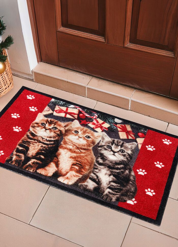 Fussmatte mit beschichteter R&uuml;ckseite 