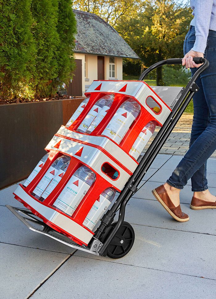 Klappbarer Tritt-Lastentrolley 