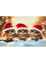 Fussmatte mit rutschhemmender Gummi-Rückseite