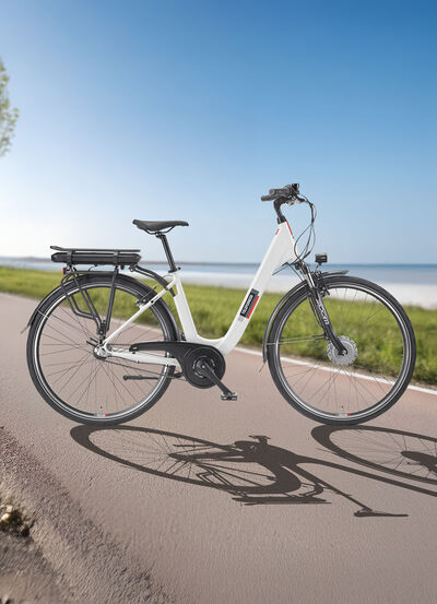 City-E-Bike RC836 von TELEFUNKEN 
