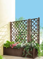 Pflanzkasten mit Spalierwand 