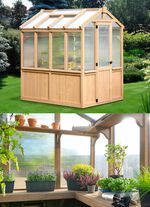 Hochwertiges Gew&auml;chshaus aus Zedernholz 
