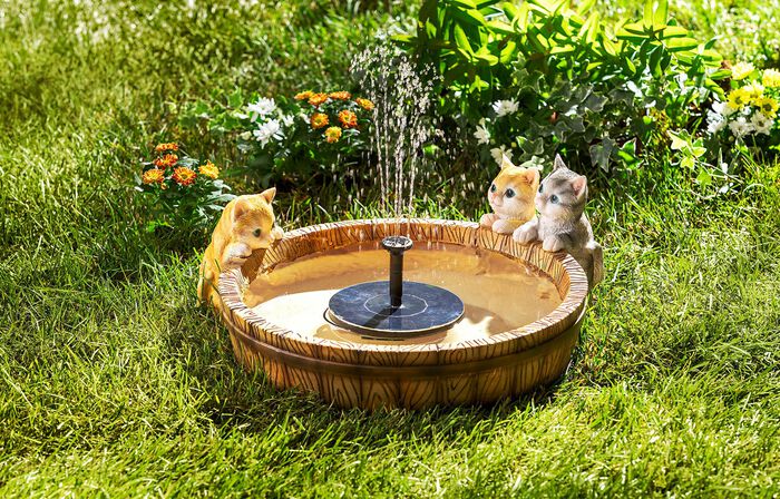 Pflanzschale &laquo;K&auml;tzchen&raquo; 