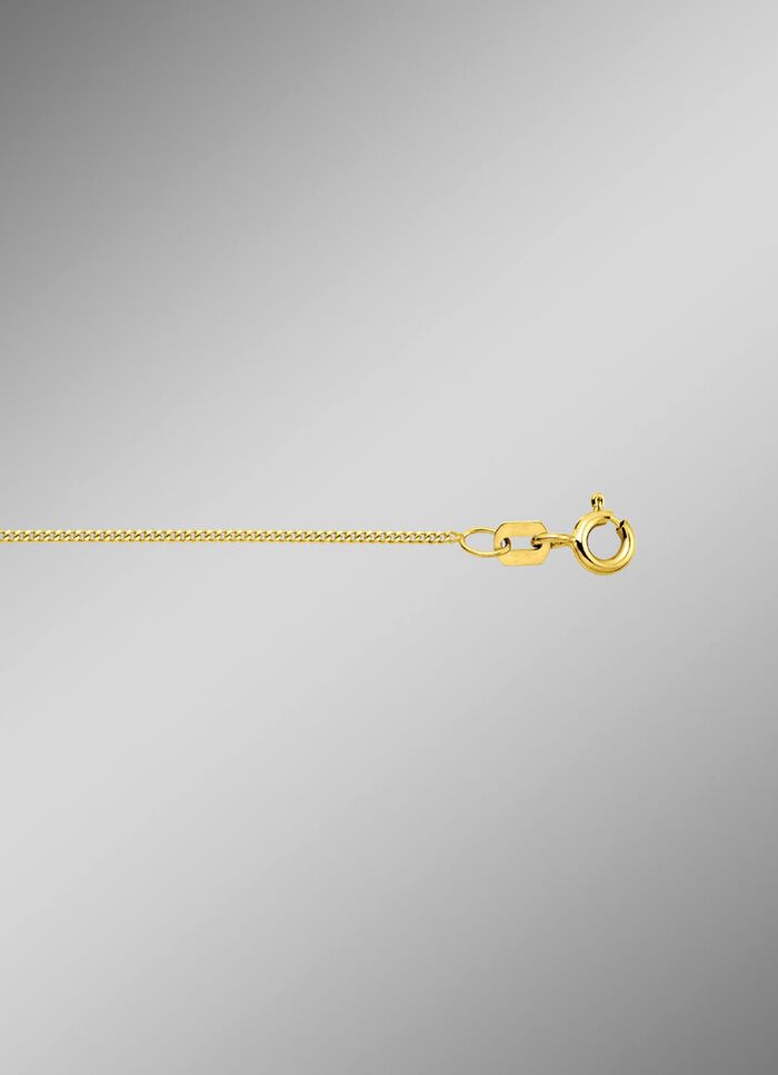 Stilvolle Flachpanzerkette aus Gold 