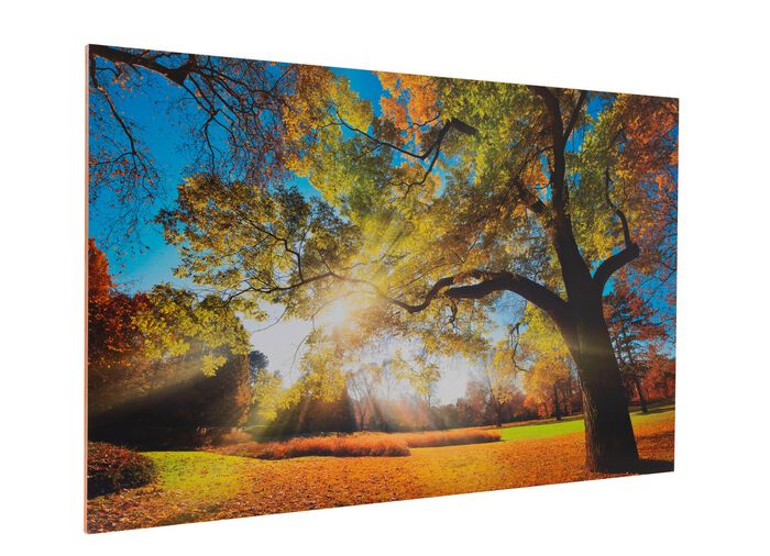 Hochwertiges Kunstdruck Bild 