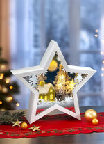 Beleuchteter 3D-Stern, batteriebetrieben 