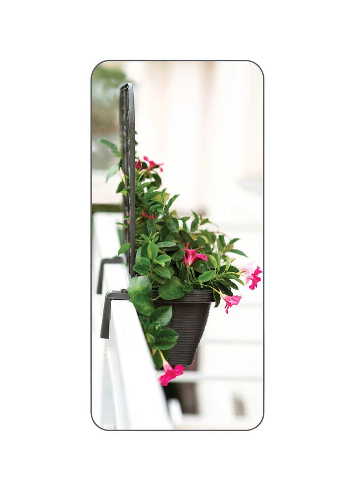 Balkonkasten mit Sichtschutz, 2er-Set ANTHRAZIT