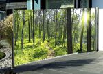Seitenmarkise Wald 