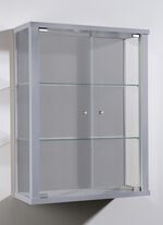 Hängevitrine mit ESG-Sicherheitsglas ALU