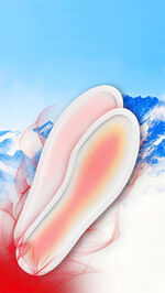 Thermo-Sohlen, 5 Paar, 