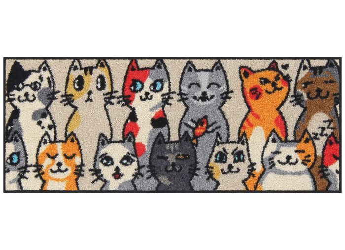 Fussmatte f&uuml;r den Innen- und Aussenbereich BUNT