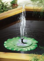 Solar-Pumpe Seerose 