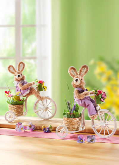 Hase auf Fahrrad, , large