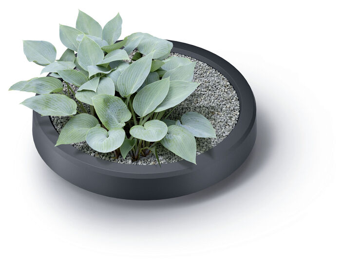 Regentonne in klassischer Wellenoptik 