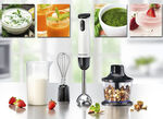 Multistabmixer-Set mit hochwertiger Edelstahlklinge 