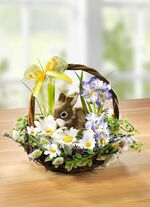 Weidenk&ouml;rbchen mit H&auml;schen 